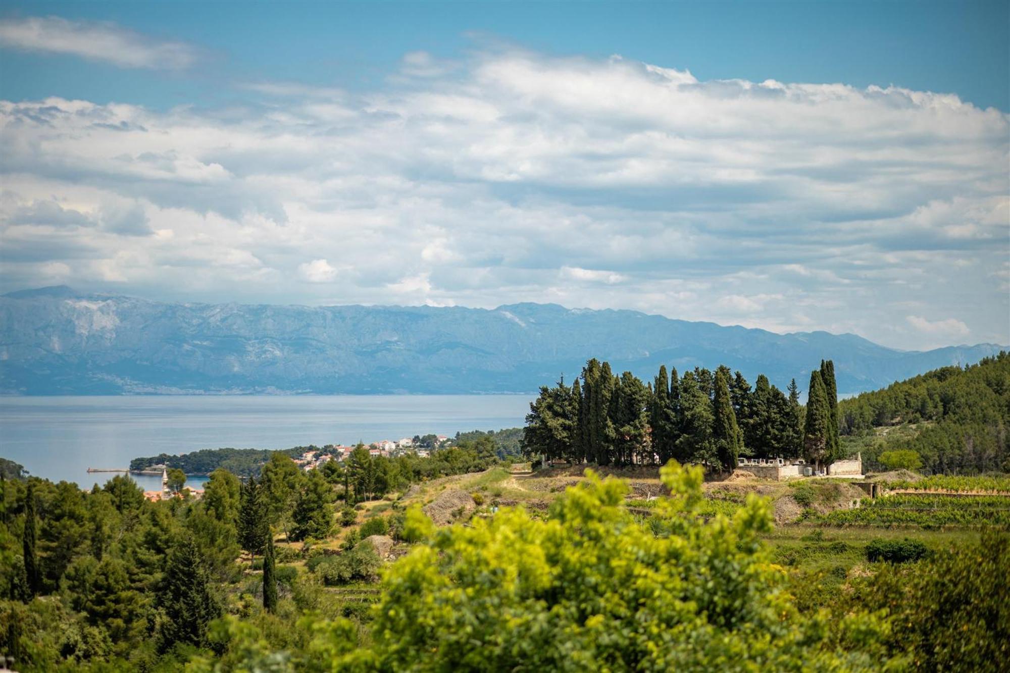 Dvor Pitve Villas Jelsa  Oda fotoğraf